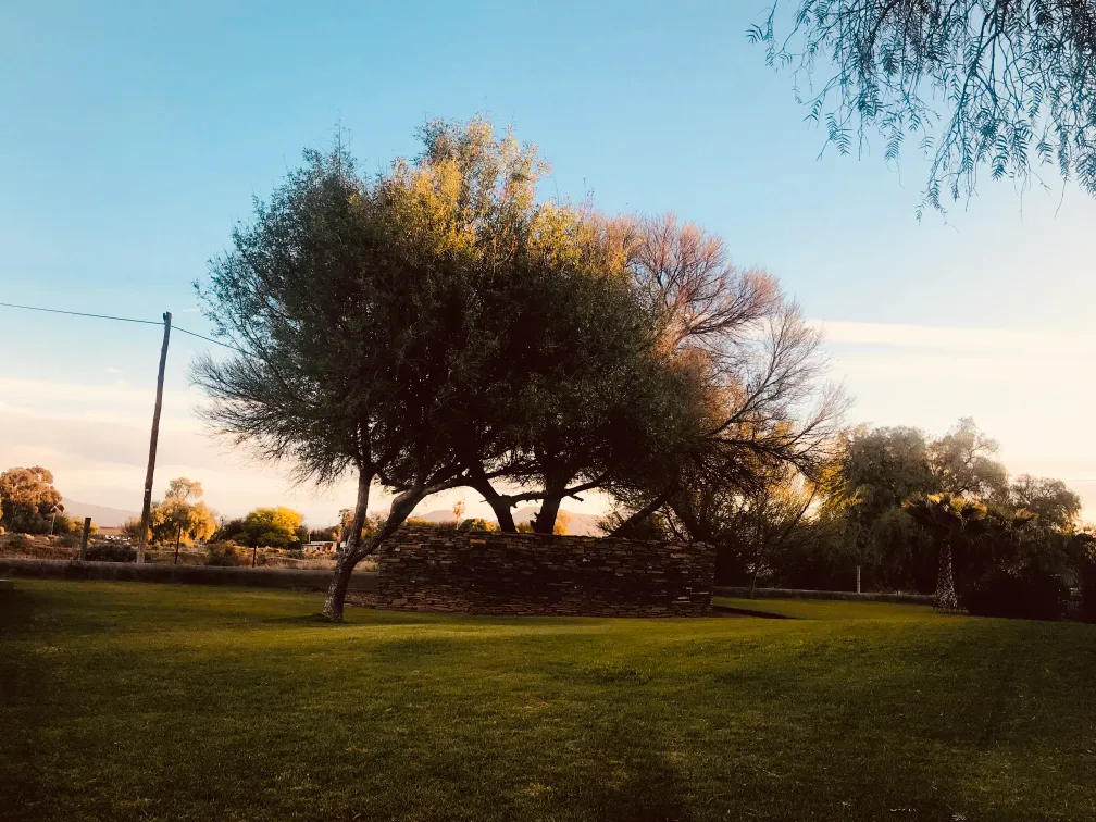 Garden pathway at Tarantula Guesthouse